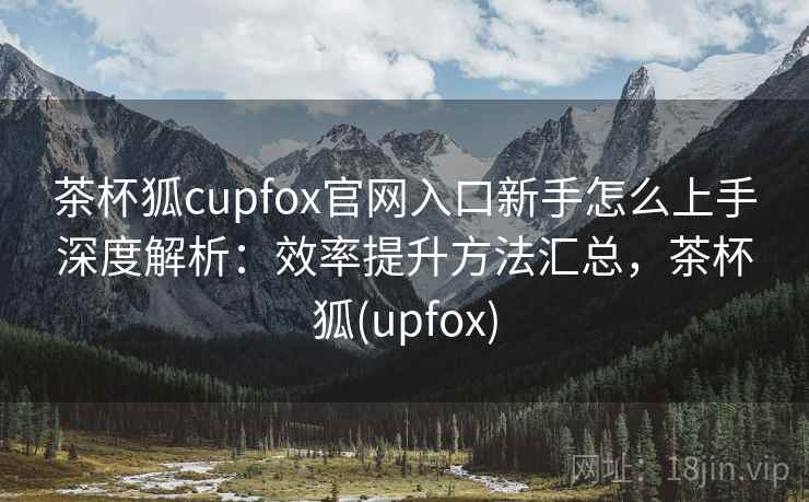 茶杯狐cupfox官网入口新手怎么上手深度解析：效率提升方法汇总，茶杯狐(upfox)