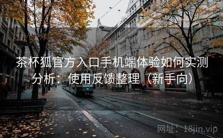 茶杯狐官方入口手机端体验如何实测分析：使用反馈整理（新手向）