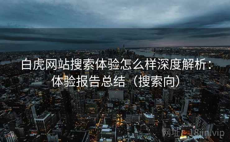 白虎网站搜索体验怎么样深度解析：体验报告总结（搜索向）
