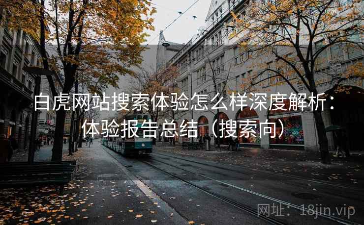 白虎网站搜索体验怎么样深度解析：体验报告总结（搜索向）