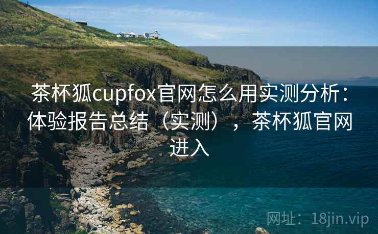 茶杯狐cupfox官网怎么用实测分析：体验报告总结（实测），茶杯狐官网进入