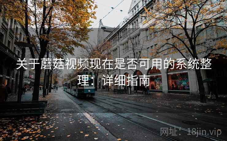 关于蘑菇视频现在是否可用的系统整理：详细指南