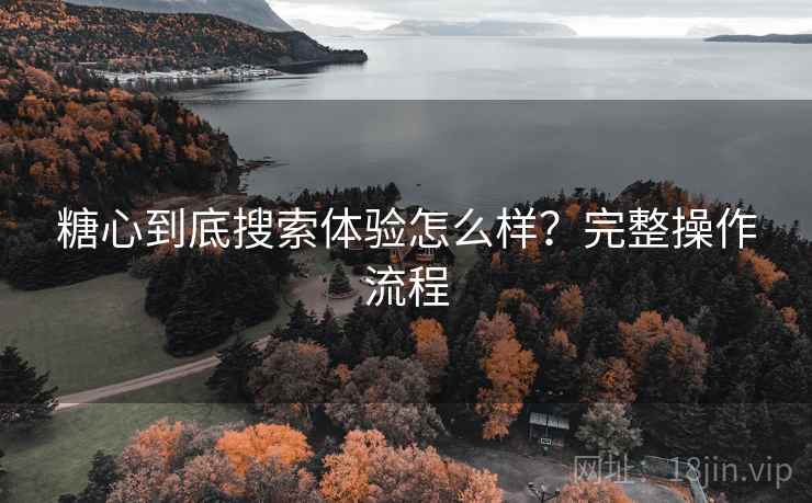 糖心到底搜索体验怎么样？完整操作流程