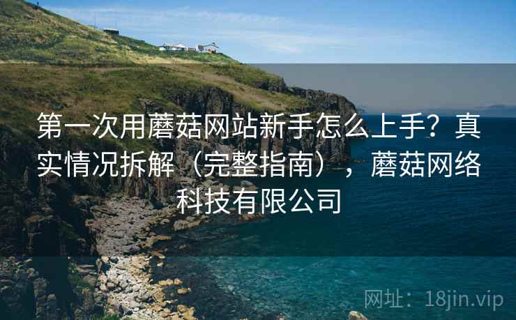 第一次用蘑菇网站新手怎么上手?真实情况拆解(完整指南),蘑菇网络科技有限公司 第一次用蘑菇网站新手怎么上手?真实情况拆解(完整指南),蘑菇网络科技有限公司