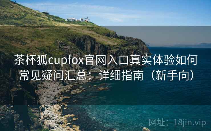 茶杯狐cupfox官网入口真实体验如何常见疑问汇总：详细指南（新手向）